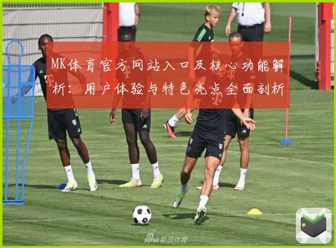 MK体育官方网站入口及核心功能解析：用户体验与特色亮点全面剖析
